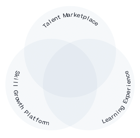Learning & Development (LMS)